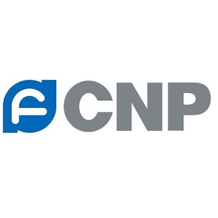 Логотип производителя насосов CNP