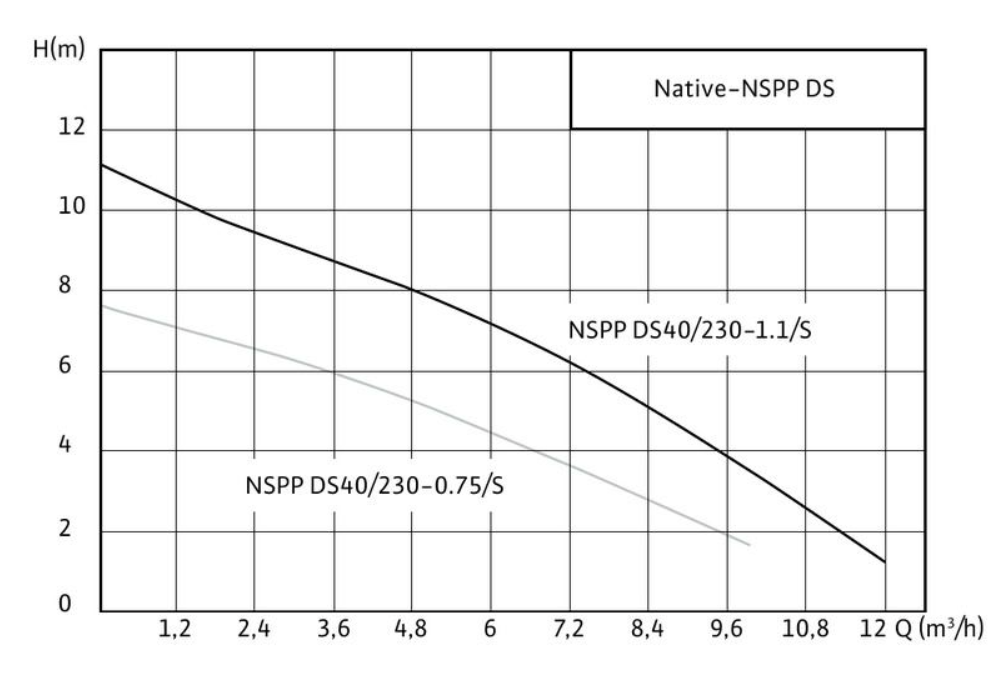 Рабочее поле Native-NSPP DS